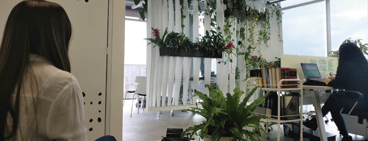 Pagina Corregida5-25